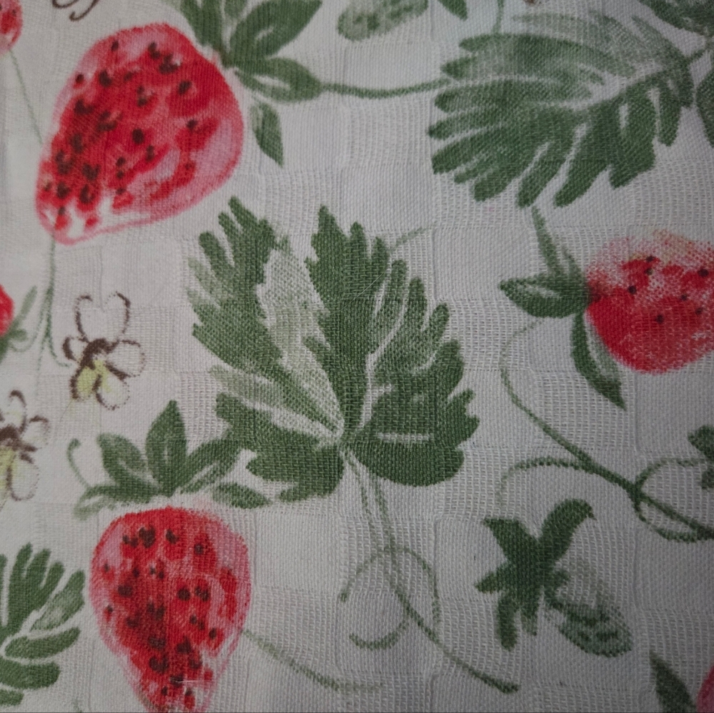 SOLD House & Garden- NEW Spring Est. 1901 Strawberry Placemats Set of 4 - Picture 4 of 6